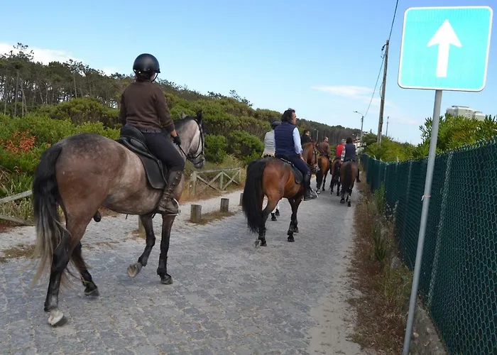 Διαμέρισμα Sunkissed Ofir House