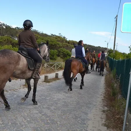 شقة Sunkissed Ofir House