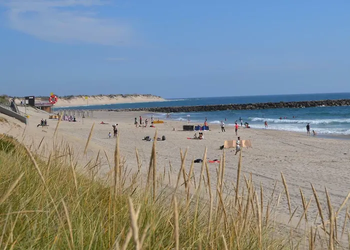 Appartement Sunkissed Ofir House